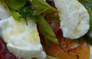 Detail from tomato, mozzarella and herb salad